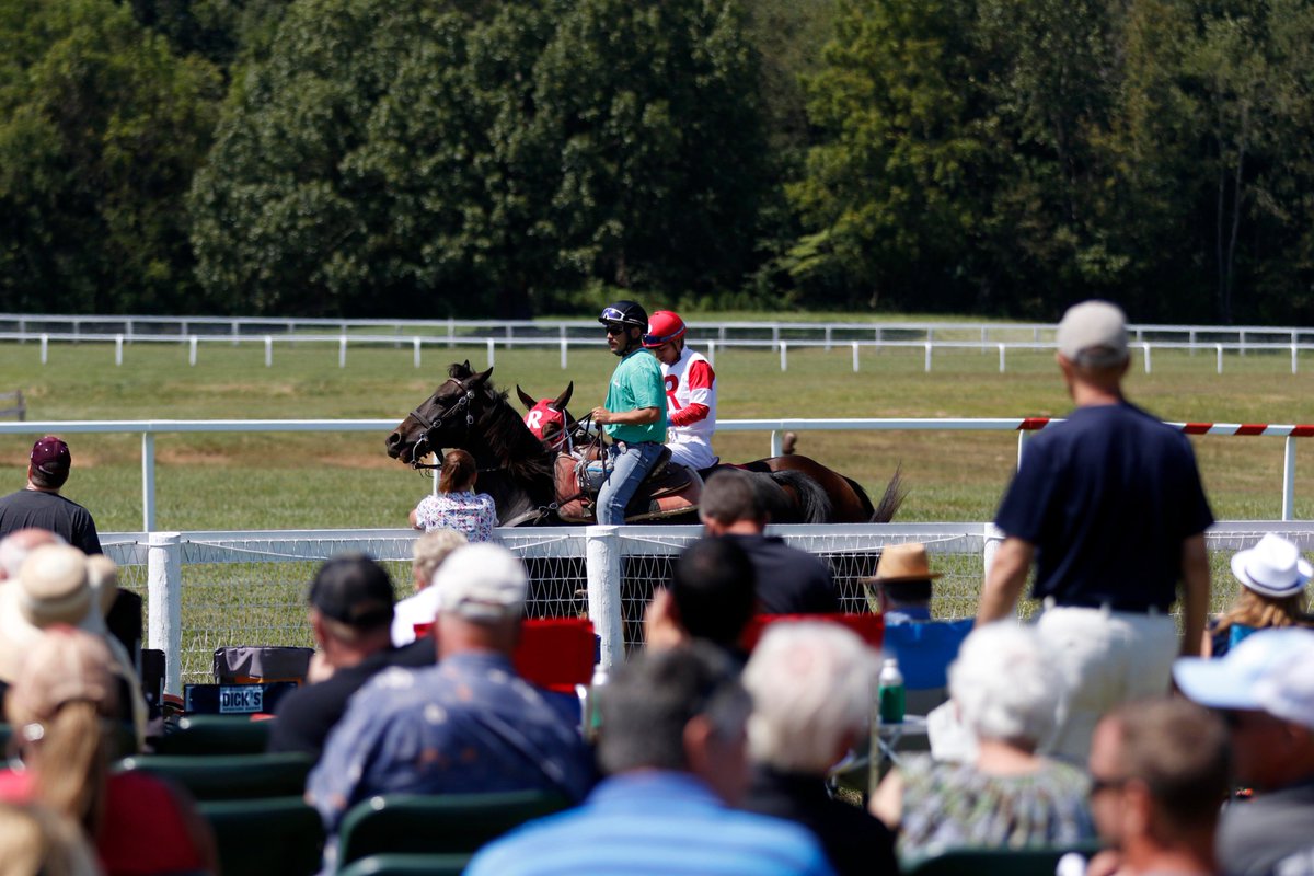 KYDownsRacing's tweet photo. Whether it involves getting up close to the races, relaxing in the Finish Line tent, or enjoying a meal from Lucky 7s, on this #PlanForVacationDay, let us know what your dream trip to #LiveAtKyDowns would include! https://t.co/i31hYchgTa