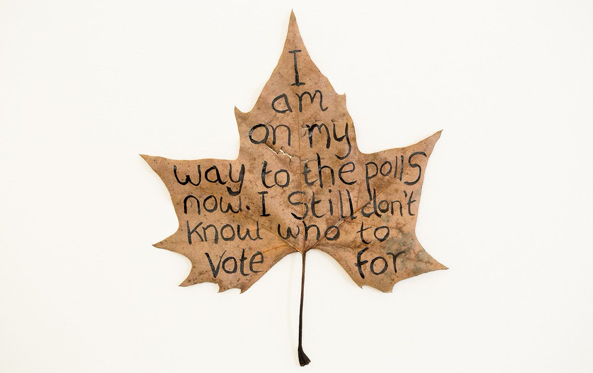 leafmeansleaf's tweet image. Welcome! These are comments from the doorstep when campaigning in the 2016 referendum. 

"I am on my way to the polls now. I still don't know who to vote for."