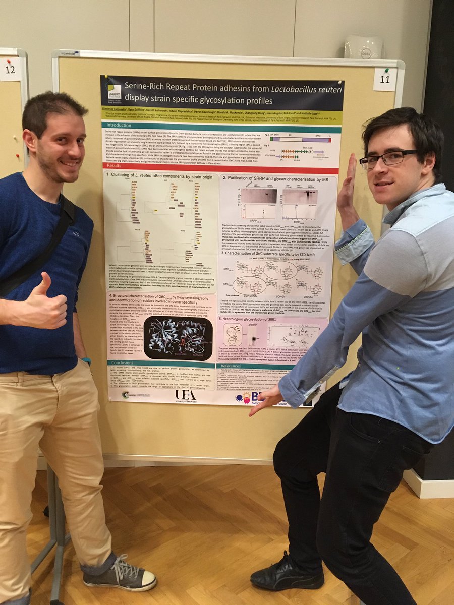 DLamprinaki's tweet photo. Today @dms_lat and Ryan will present their poster about Strain specific SRR glycosylation and myself about F. nucleatum-lectin interactions and immune response. @GTec2019 @TheQuadram https://t.co/eqdOiNf8qa