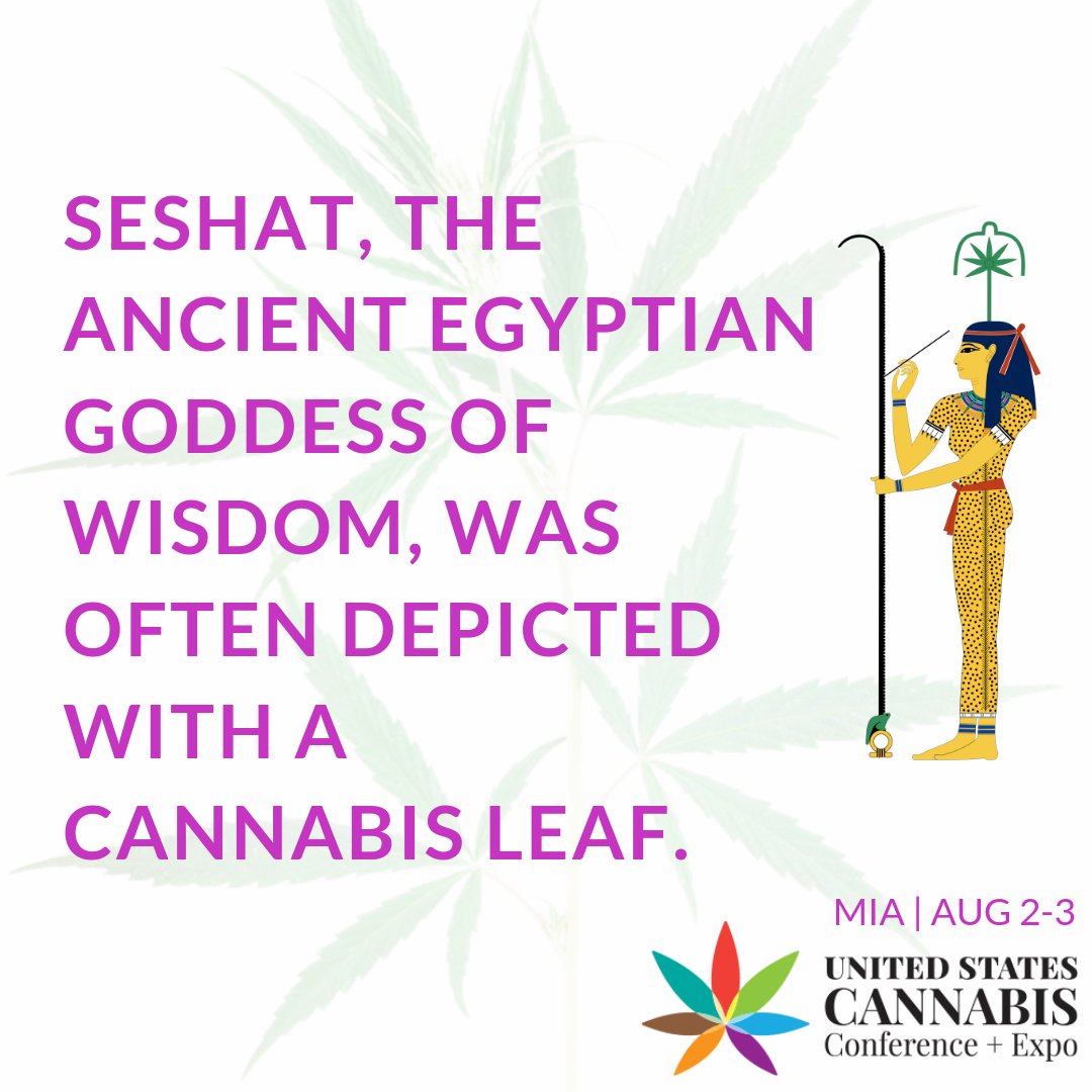 usccexpo's tweet image. #FunFact: this is the Egyptian goddess, Seshat who was frequently paired w/ a cannabis leaf. Drawing dates back to 1250 BCE.

It&apos;s thought that early civilizations used Cannabis as medication &amp;amp; ritual spiritual experiences.
 #cannabisfacts #cbdmovement #hempnews ##marijuananews