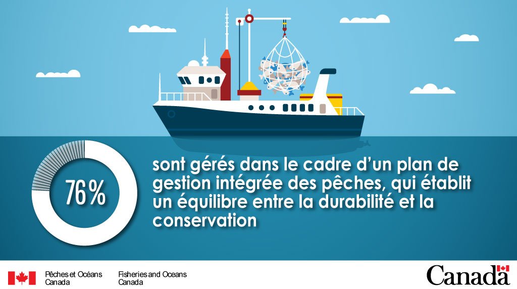Nous veillons à assurer la durabilité des pêches partout au 🇨🇦. Nos plans de gestion intégrées des pêches visent à établir un équilibre entre la récolte durable et la conservation. 🎣 ow.ly/mx0V30nuPSi