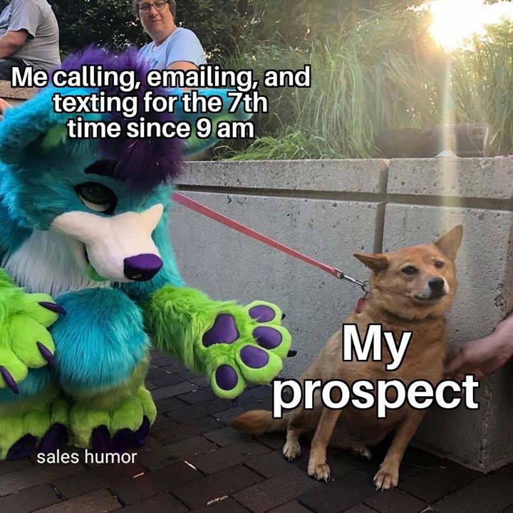 Sales Humor tweet media