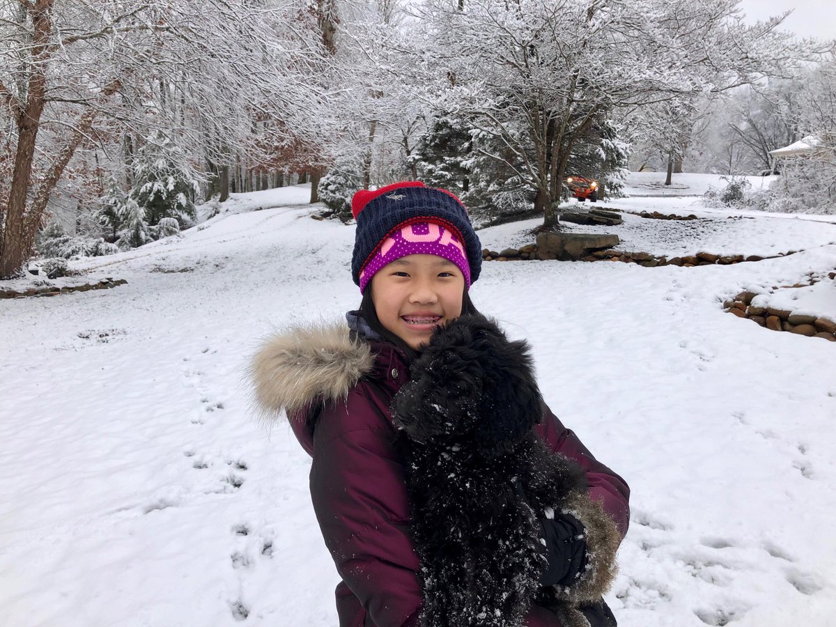 JillAnnAllen's tweet photo. Our puppy is loving her first snow here in Kodak.  Alyssa likes it pretty well too!   ⁦@WBIRWeather⁩   #snowday.  #puppylove  ⁦@AutosandMore⁩ https://t.co/0CRDMnP1tg