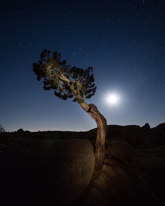 CapeNightPhotos's tweet photo. Checkout more of my night photography at https://t.co/CrE0Vp3ohu and facebook/capenightphotography #night https://t.co/jecln20uiX