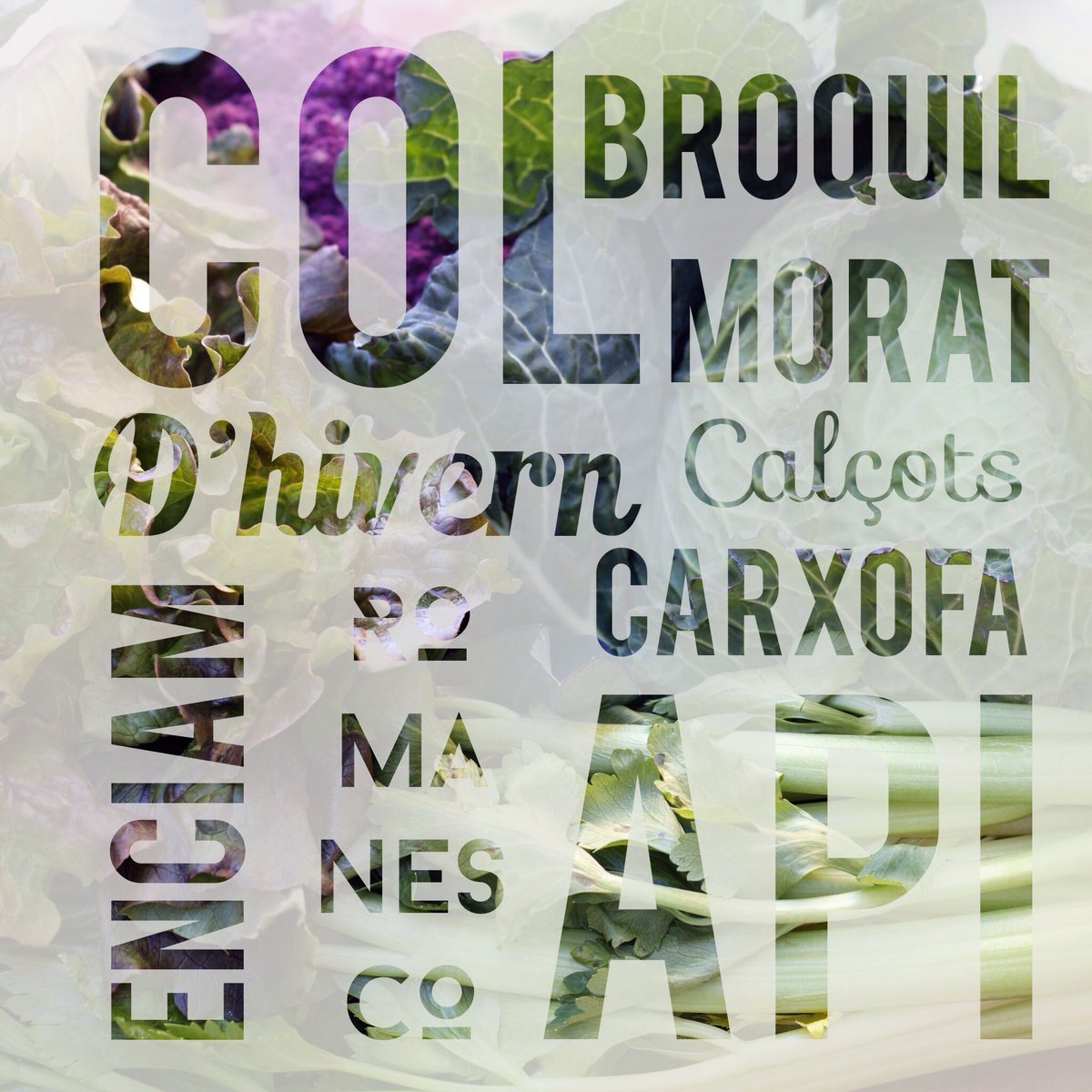 Enamorats dels productes locals, de temporada i vinculats al territori ❤️ Per això el primer que trobeu a <a href="/calobrer/">Ca l'obrer</a> és un carro farcit de productes #ecològics de la @masia_ca_nolivero donant-vos la benvinguda 😊