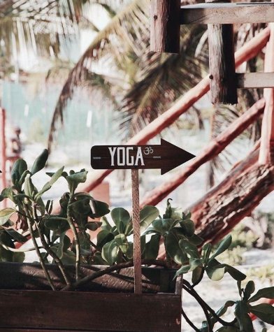 everydayyogacom's tweet photo. Start your day in the right direction ➡️
⠀⠀⠀⠀⠀⠀⠀⠀⠀
Photo via @amansalatulum https://t.co/4mB4bRPH7p