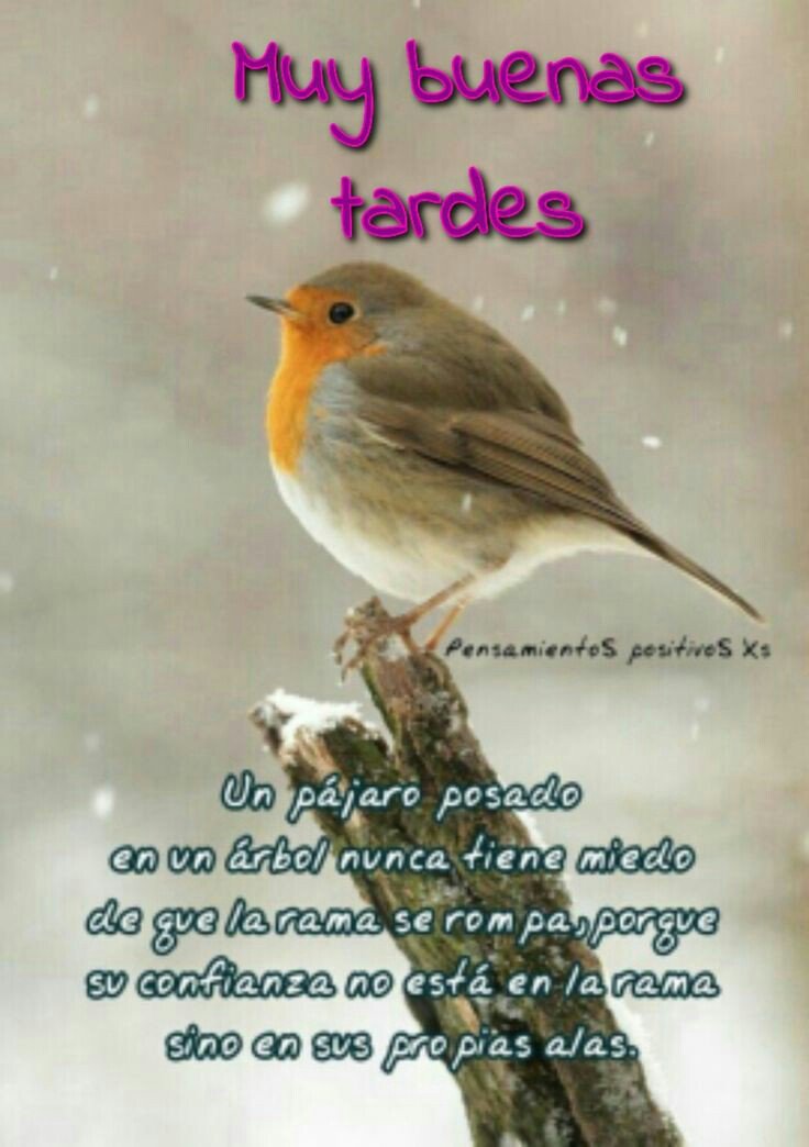 DORIS ✝✡???? on Twitter: "Igualmente... Gracias a ti por darte un tiempo para  saludarme. ???? Hermosa música...como siempre.???????????????????????????? Feliz  tarde...????????… https://t.co/p0PWE1CEQK"
