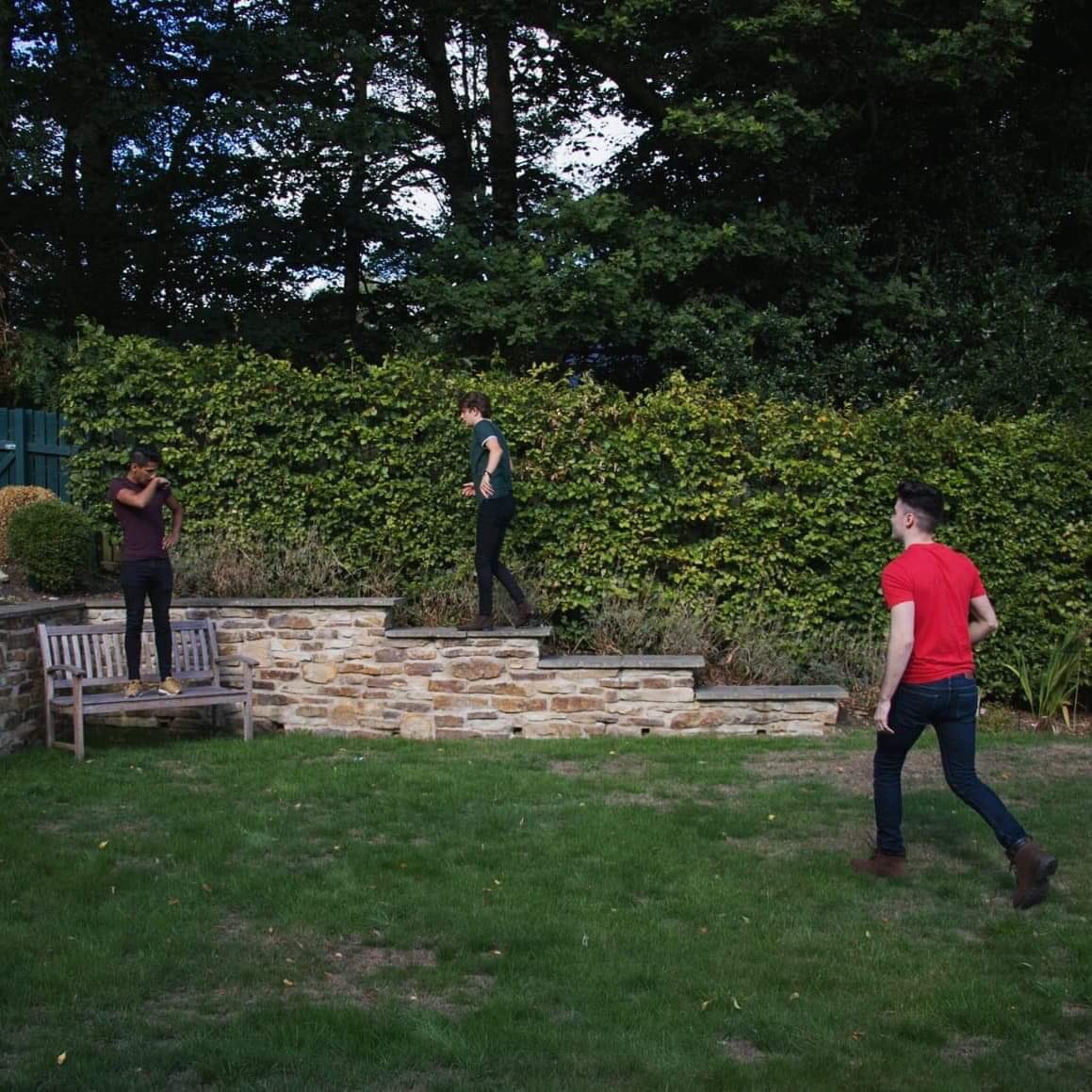 tanjentofficial's tweet photo. Wondering if our new releases got lost in any of these bushes 🤔 #patienceiskey https://t.co/xhCCJJ3fdB