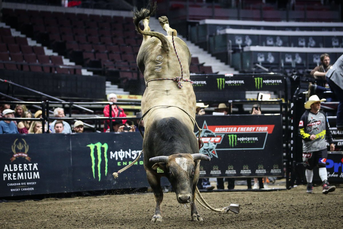 VL_Arena's tweet photo. Meet HAPPY CAMPER! 2018 @PBRCanada Bull Of The Year! Product of 2 Bit Bucking Bulls in Magrath Alberta. Come and see just how HAPPY he is at #PBRLeth on March 1st and 2nd @enmaxcentre 
@BridgeChrysler  @VisitLethbridge @Lammles @3D_Bullriding @BrinsonJames https://t.co/uMyZ2xJ8Dh