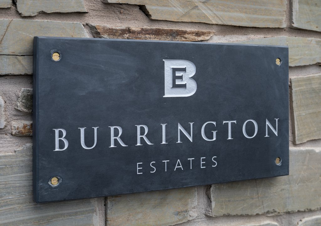 Burrington Estates tweet media