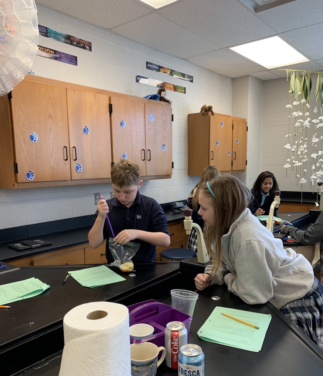 FRAmsDavis's tweet photo. Exploring mixtures vs. solutions and chemical vs. physical change in 5th grade science today @FRApanthers https://t.co/mdOX4RPdb3
