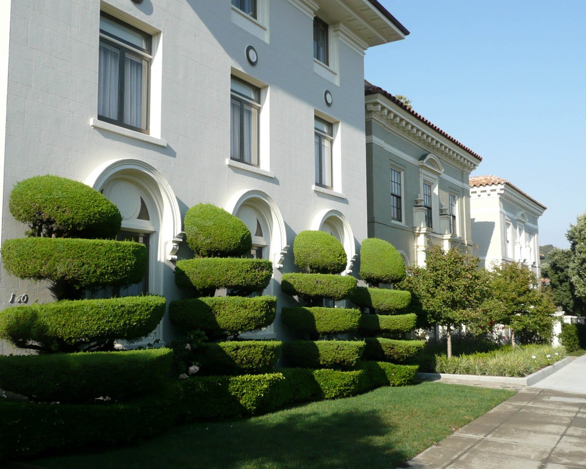 patriotlawnGA's tweet image. If you want to learn more about our #ShrubPruning services, be sure to find your way over to our #website! We look forward to hearing from you soon. Give Us A Call at # (770) 629-8892 today! #LawnMowing #Mulching #WeedControl #McDonough30253 bit.ly/2qPvUmL