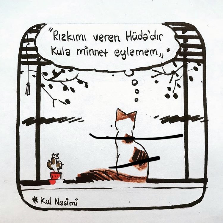 53 REİS 1453 (@53reis1453) on Twitter photo 