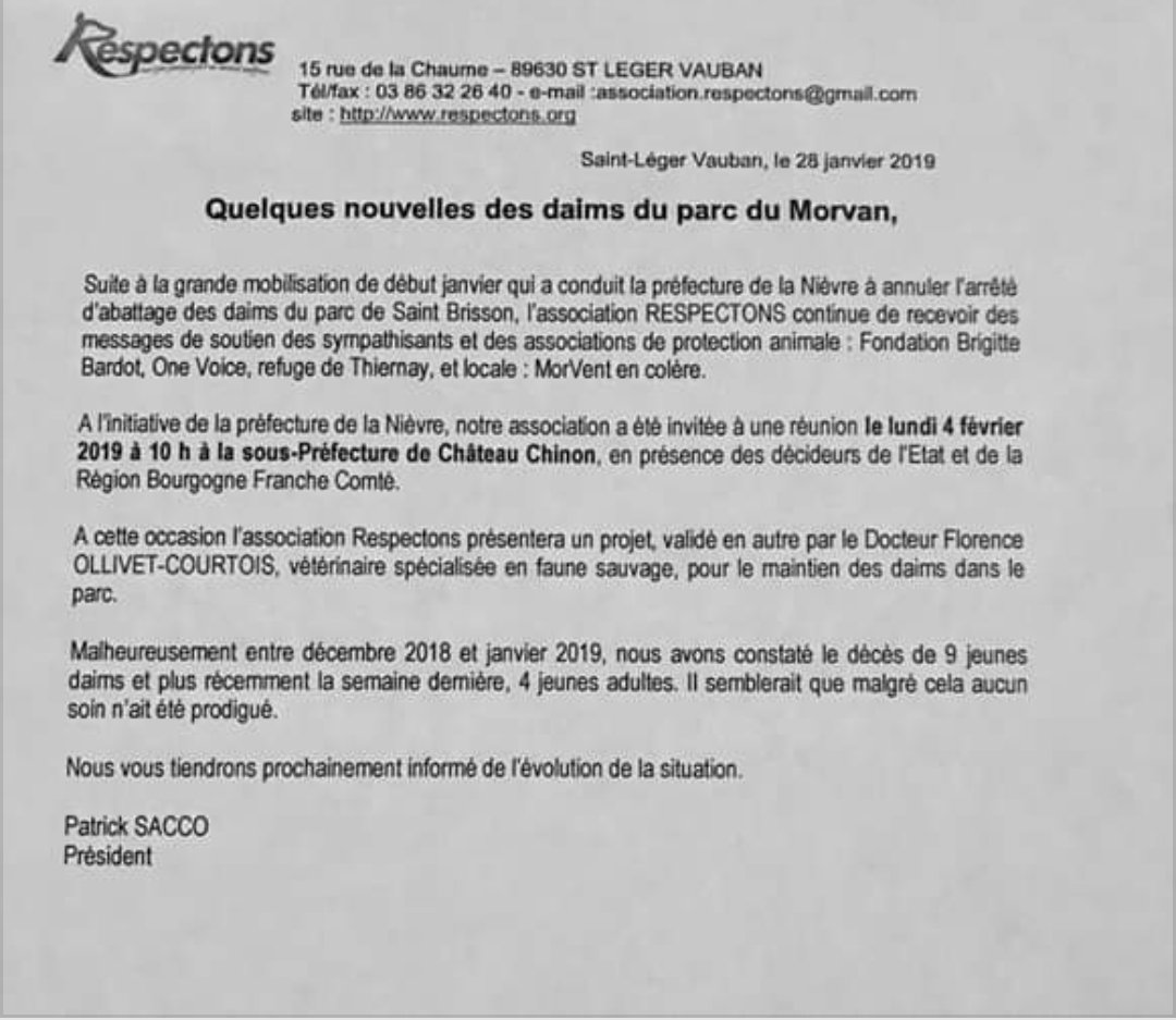 Respectons's tweet photo. Des nouvelles des #daims du parc du #Morvan à #SaintBrisson Malheureusement entre décembre 2018 et janvier 2019, nous avons constaté le décès de 9 jeunes daims et plus récemment la semaine dernière, 4 jeunes adultes ! + d'infos en cliquant sur les images en bas du post ! #animaux https://t.co/RrrbTbvqBa
