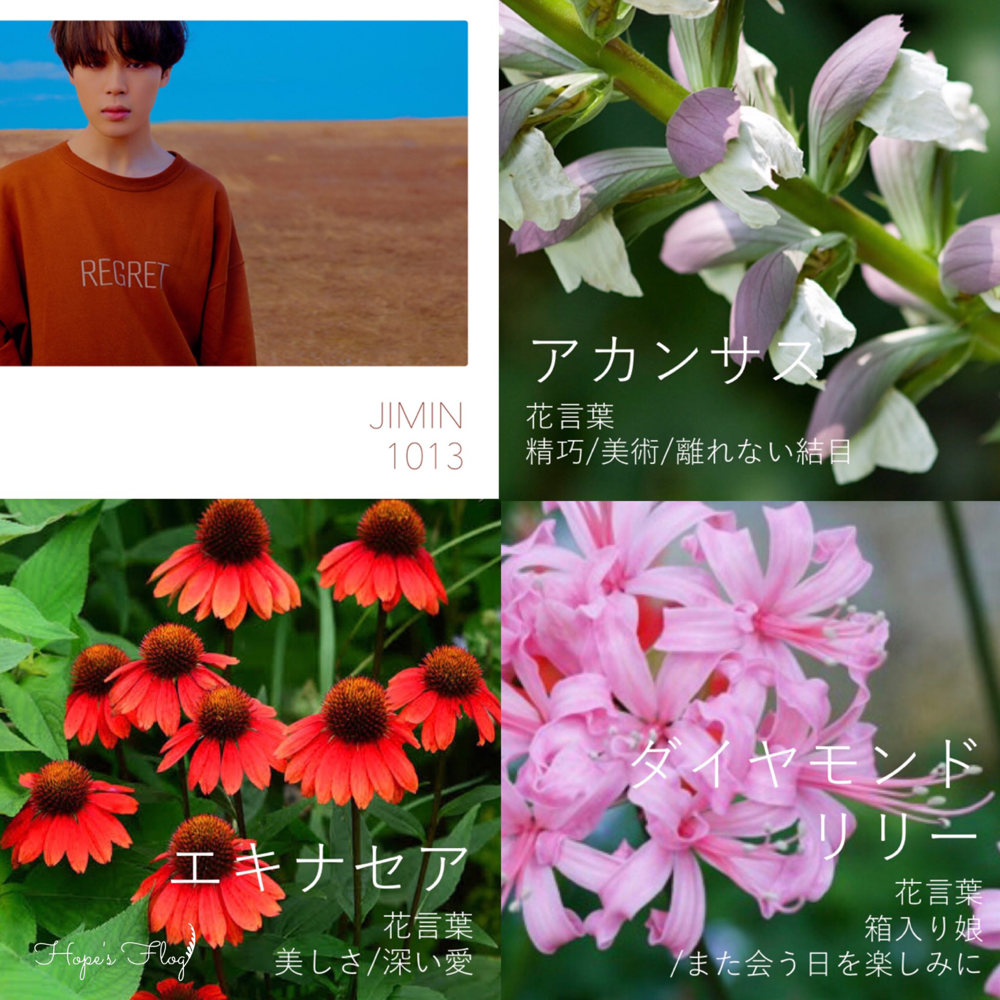 ホビのカエル Btsの誕生花とその花言葉 Suga 2 Bts S Birth Flowers And Them Language Of Flowers Suga 2 Bts Btsarmy 방탄소년단 Suga Minyoongi 슈가 민윤기 ユンギ ミンユンギ シュガ T Co Zmipauyi3m Twitter