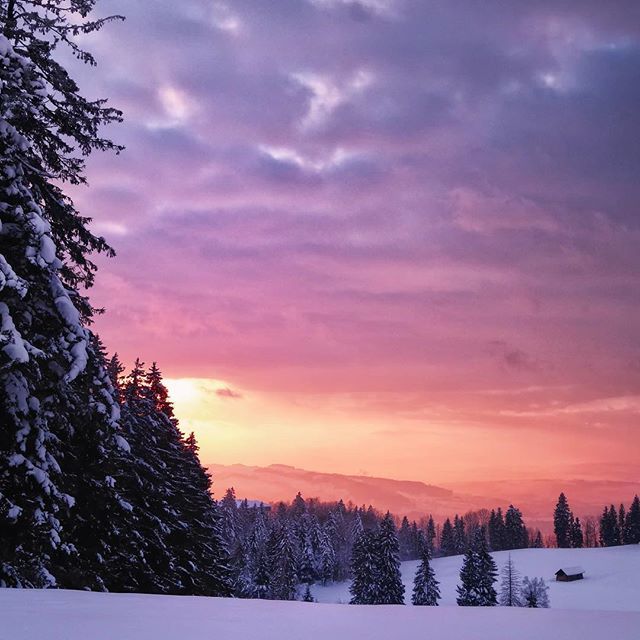 commafactory's tweet photo. «Nothing burns like the cold». (George R.R. Martin) ☃️🌄😍 #timetoexplore #WinterWonderland #sunset_madness
.
#Zugerberg #Zug #Switzerland #Wonderland #MySwitzerland #Super_Switzerland #InLoveWithSwitzerland #thegreatoutdoors #getoutdoors #letsgosomewh… https://t.co/LHUY9LOGf8 https://t.co/5Ki2tWtx9f