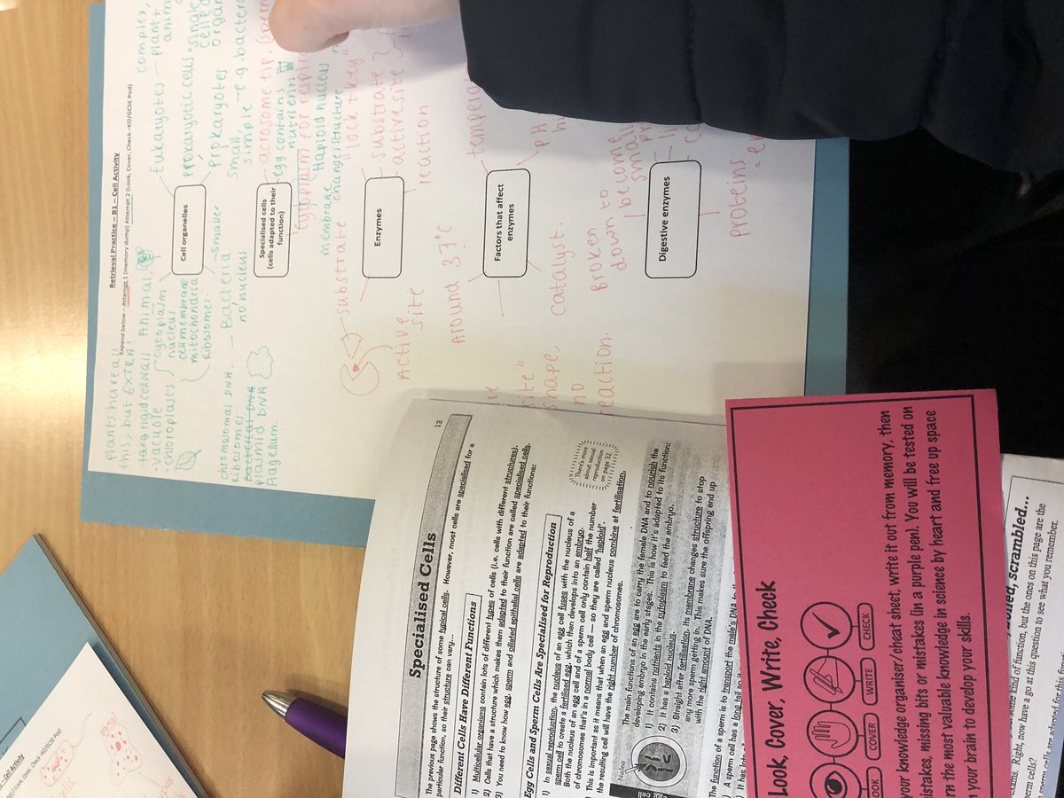 ejrollins's tweet photo. What retrieval practice have you used today???? I introduced brain dump today with a small year 11 intervention group and they did a fabulous job 🙌👍@ColneValleyHigh #scienceB1 #cognitivescience @RetrieveLearn https://t.co/HC0J0uvLO1