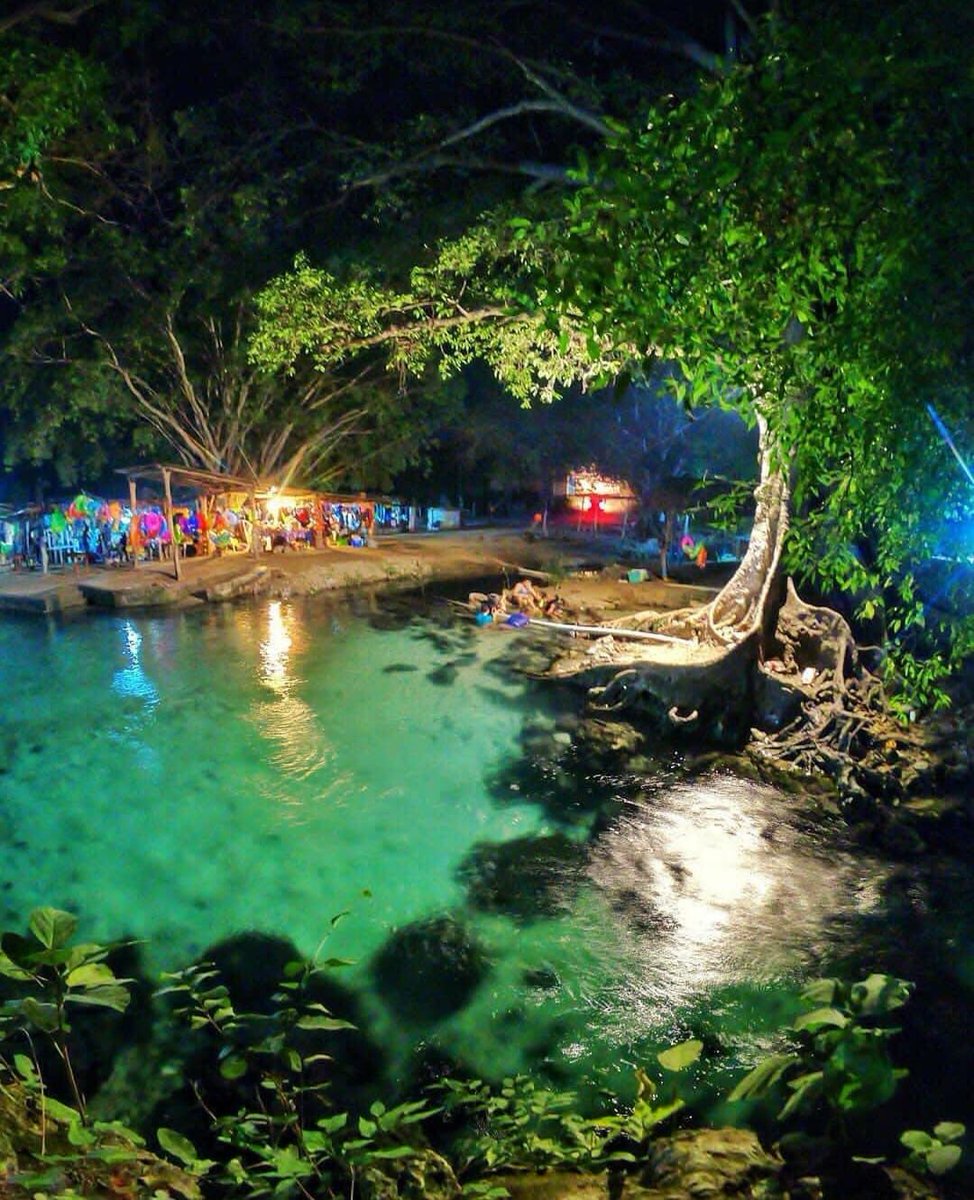 AllforHandG's tweet image. Laollaga, Oaxaca, México 🇲🇽

#plantlovermx #balneario #resort #Oaxaca #Mexico #sigume #FolloMe