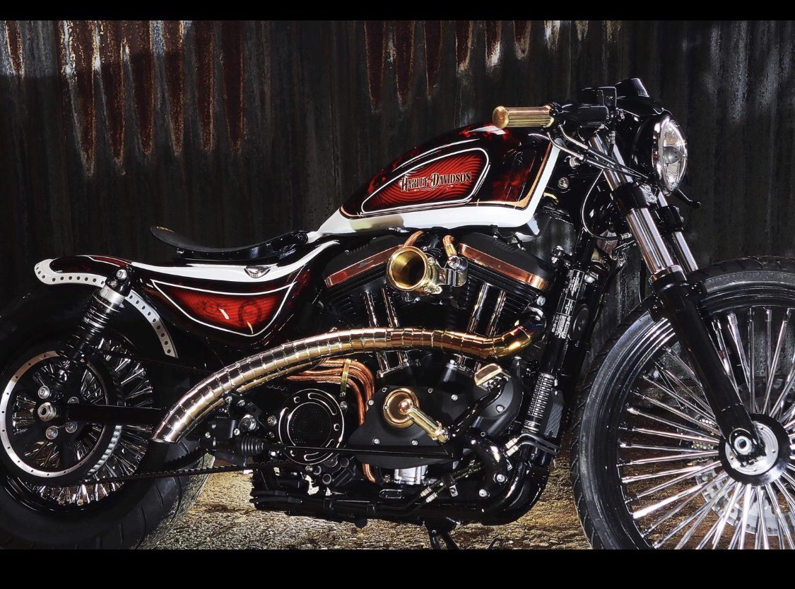Sycamore H-D tweet media