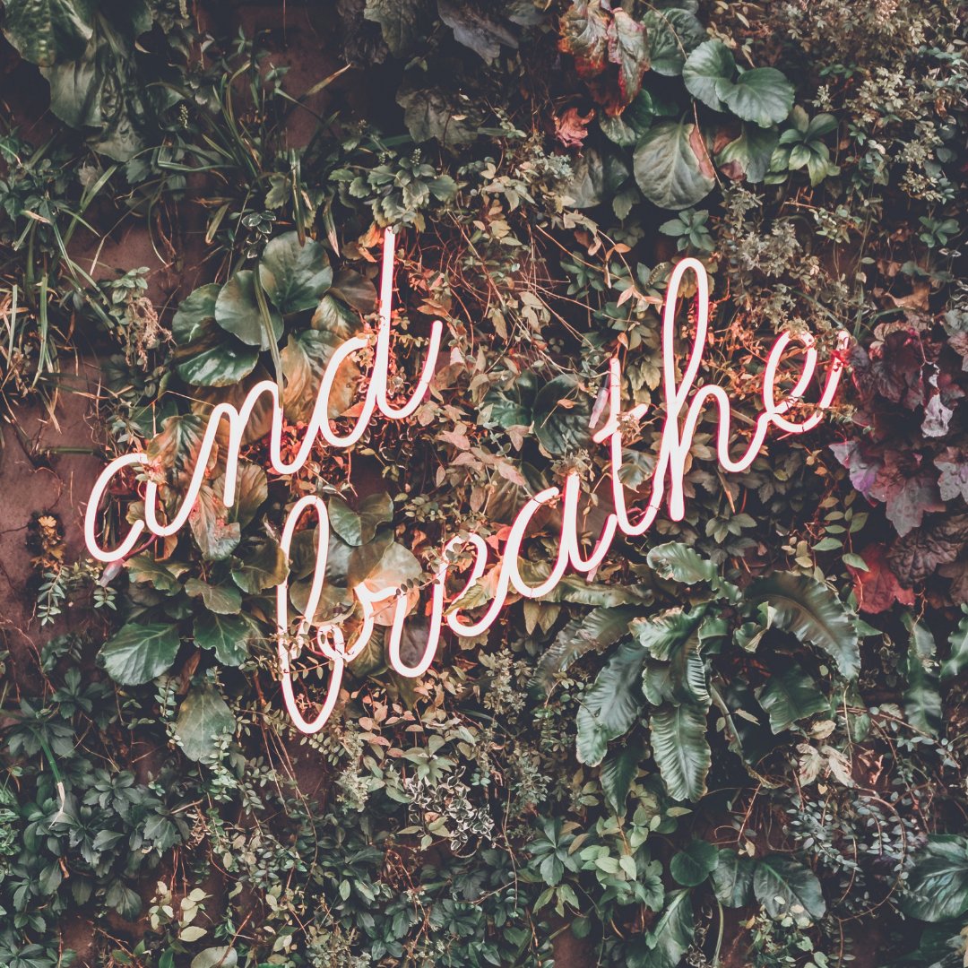 DisruptOM's tweet image. What's your mission statement? 💭 Your mission statement should tell the story of who you are, what you're doing, and why you're doing it. 
Check out our newest blog post on tips for creating your mission statement. 💜
disruptordinary.com/your-mark-your…