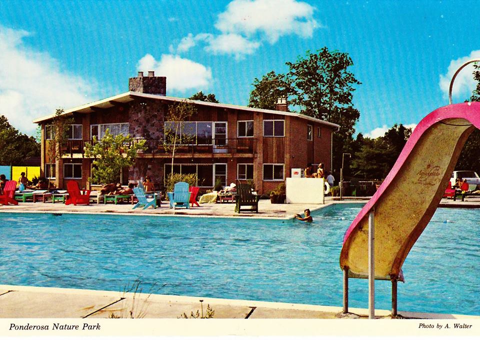 AANR_East's tweet photo. We've seen a few old nudist camp postcards, but this '70s card from Ontario's Ponderosa Nature Park is a colorful one. https://t.co/dNIbOIHVlP