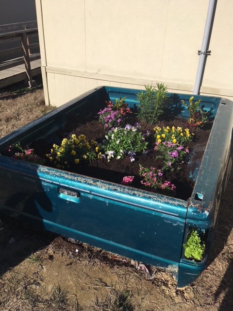 Manor CTE (@ctemanor) on Twitter photo One person's trash is another person's treasure! CTE Horticulture <a href="/ManorHS/">Manor High School</a> converted a truck bed from the Auto program to a beautiful flower garden. Thank you to Lexi Bowen for incorporating Creative Learning into your curriculum. #ManorCTE #LearningthatWorks #DestinationManor One person's trash is another person's treasure! CTE Horticulture <a href="/ManorHS/">Manor High School</a> converted a truck bed from the Auto program to a beautiful flower garden. Thank you to Lexi Bowen for incorporating Creative Learning into your curriculum. #ManorCTE #LearningthatWorks #DestinationManor