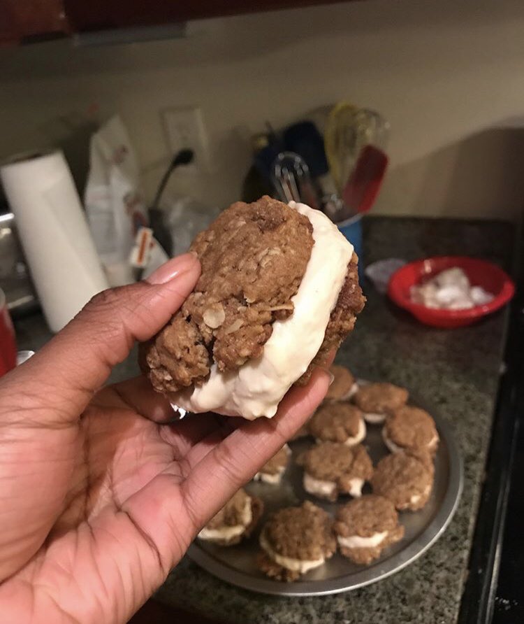 Vegan Oatmeal Cream pie; fig newton & berry bliss balls; granola bars 