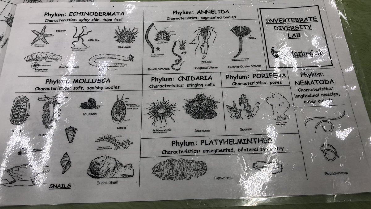KellyPared's tweet photo. What did you learn today? #onlyatpc @PineCrestSch Classroom labs and the Florida keys #classwithoutwalls https://t.co/g6lzf1yrUj