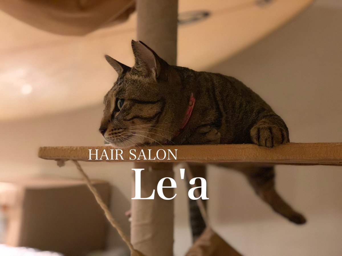 美容室 Lea Hairsalon Lea Twitter 美容室 Lea Hairsalon Lea Twitter