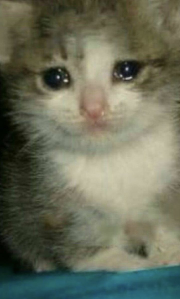 Demonitization3's tweet image. Ok now this is epic