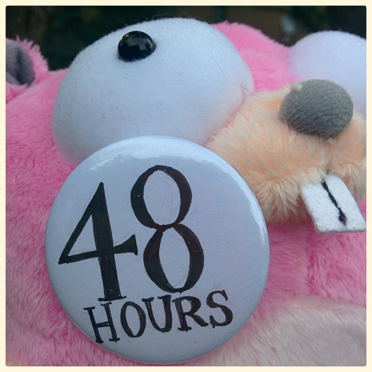 GopherCon's tweet image. Crikey! Less than 48 hours remain to get your proposals in for @gophercon 2019. papercall.io/gophercon-2019 #golang