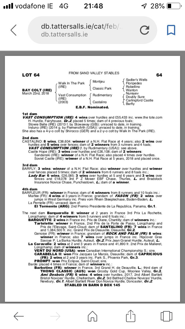 Delighted to have purchased a nice filly (150)(Flemensfirth) &amp; a nice Colt (Walk in the Park)(64) for 2 sound clients @tatts_ireland  I hope they will be lucky for ye both