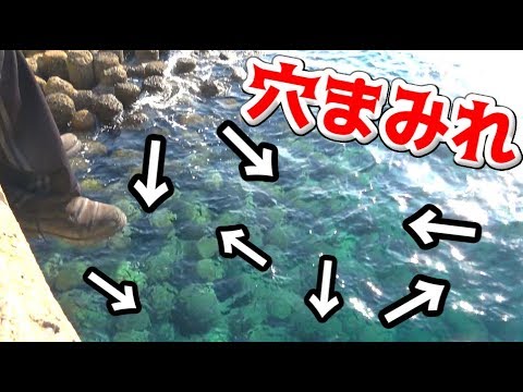 釣りよかhouseのtwitterイラスト検索結果