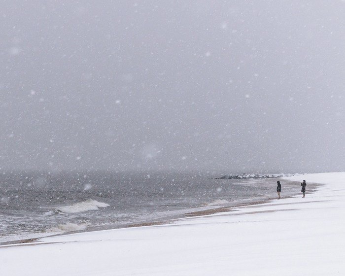 CapeMay.com tweet media
