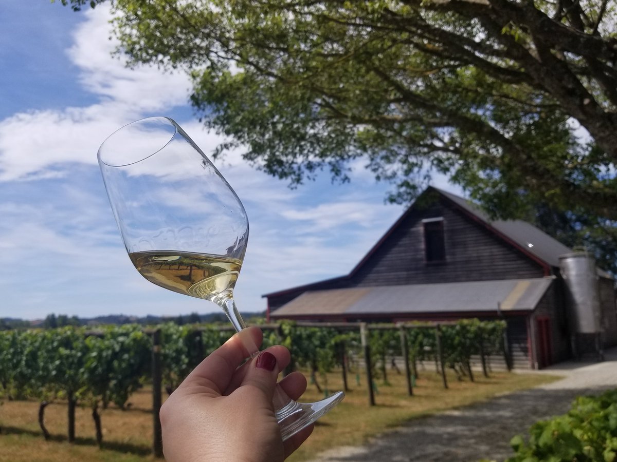 My theory behind New Zealand Sauvignon Blanc is... You should drink more of it. 🥂 Citrus, Tropical, Herbaceous... @nzwine @Sauvignon_NZ #wine #NZWINE #SauvignonNZ + Melanie Brown is the BEST! @NZCellar #NewZealand #NZ