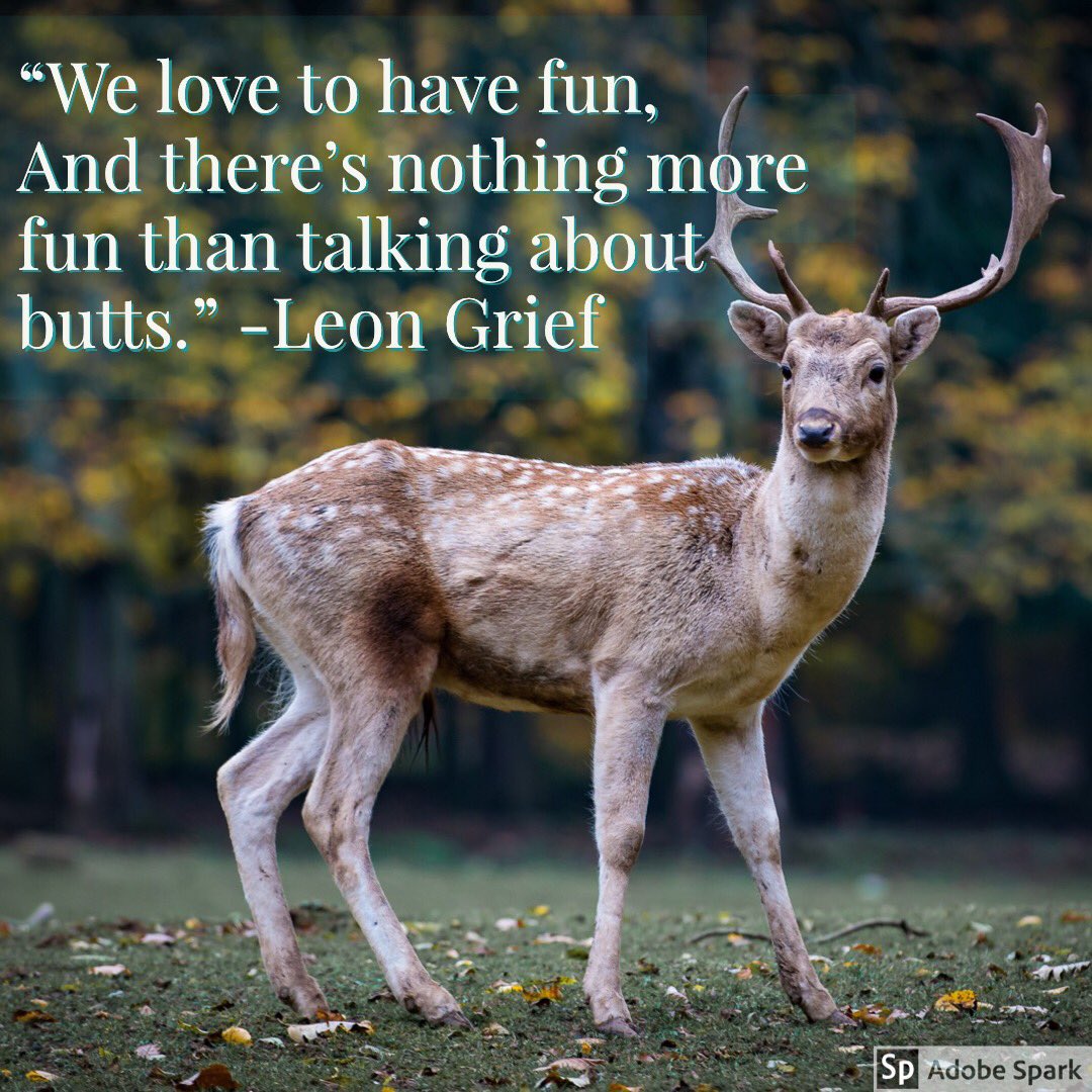 NuttinButtTN's tweet photo. Weโve never tweeted before ๐คท๐ปโโ๏ธ Follow us if you love to talk about butts! #nuttinbutt #hunting https://t.co/0L5Smwzj0r