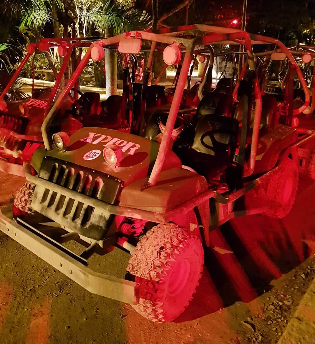 XensesPark's tweet photo. ¿Estás listo para una aventura en @XplorPark? https://t.co/wrWaYp4FpZ