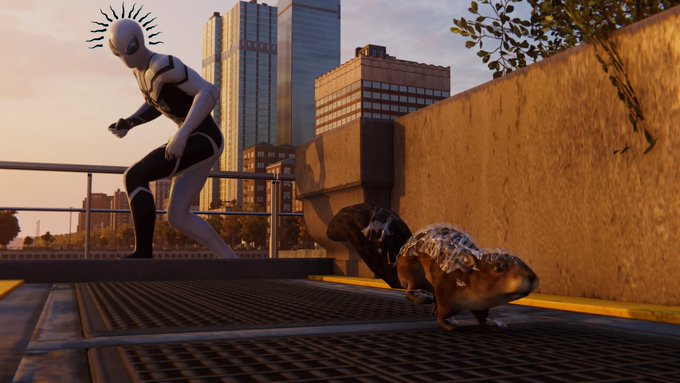 This squirrel is absolutely terrified. #spidermanps4  #PS4share https://t.co/9hR7qN2izb<a href="/tag/spidermanps4"class="tags">#spidermanps4</a><a href="/tag/ps4share"class="tags"><span>#ps4share</span></a>