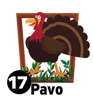 FaunaActiva's tweet photo. Sorteo N° 4462  29/01/19       
VENEZUELA: 7:00 PM       
PERÚ: 6:00 PM
PAVO-17
Color NEGRO
Grupo: B
https://t.co/BL1WWQhBxU https://t.co/MygXWD3YhK
