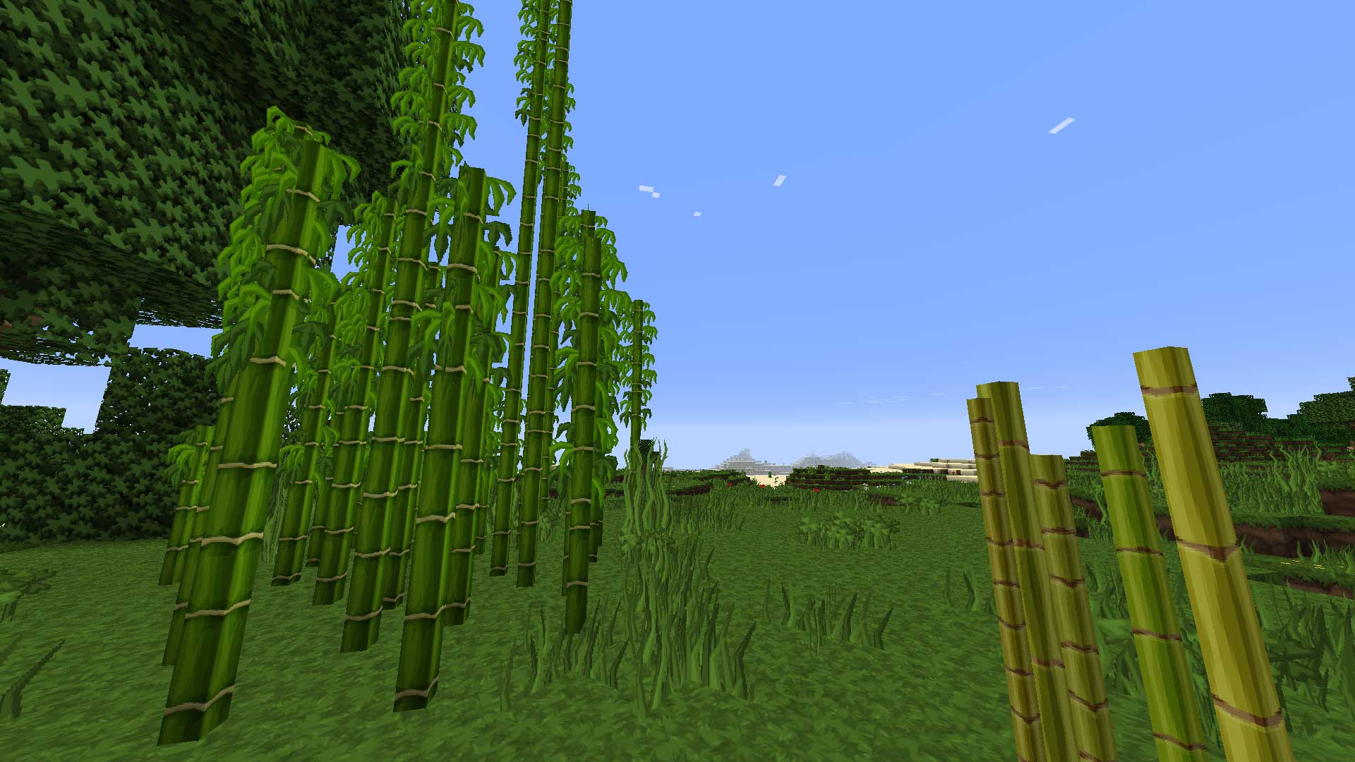 Sphax