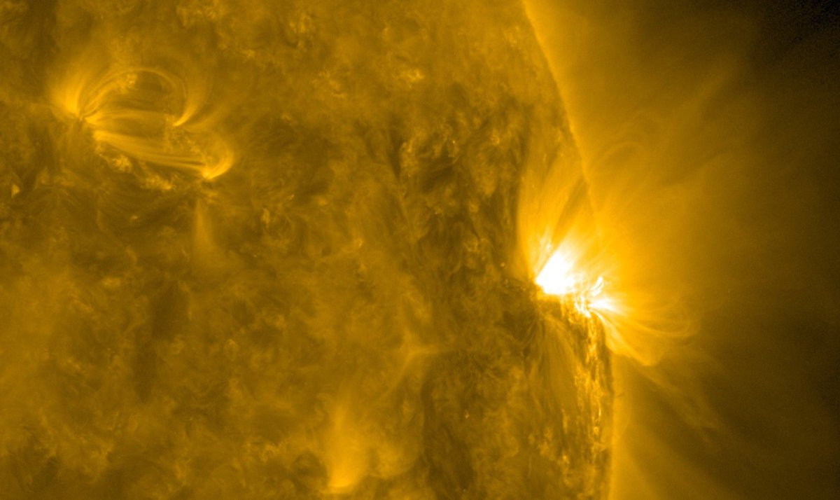 AluoraRen's tweet photo. Though she could not see the sun, it never left her side https://t.co/ukWasuaqhR