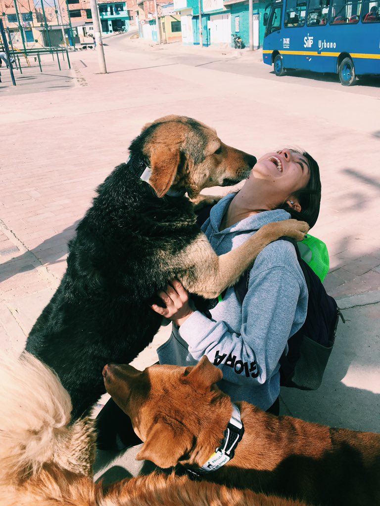 Malala Aristizabal M tweet media