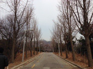 안산 산책