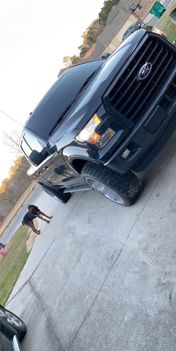 Dirty truck and bad dog