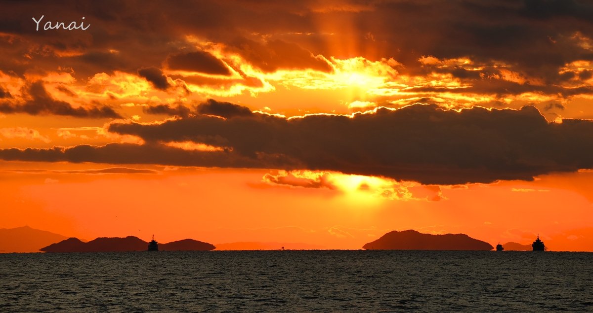 魚島 hashtag on Twitter