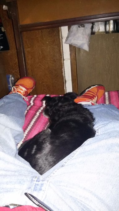 @___awlwlb___ El es blacky n.n https://t.co/Sf726uVyPo<a class="tags" target="_blank" title="On Twitter" href="/?out=eyJ0eXAiOiJKV1QiLCJhbGciOiJIUzUxMiJ9.eyJpYXQiOjE3MjY1NTY0NzgsImlzcyI6InR3cG9ybnN0YXJzLmNvbSIsIm5iZiI6MTcyNjU1NjQ3OCwiZXhwIjoxNzU4MDkyNDc4LCJyZWRpcmVjdF91cmwiOiJodHRwczovL3R3aXR0ZXIuY29tL19fX2F3bHdsYl9fXyJ9.9fb0iWA6YcjsZXhuwjWORglPDsHzQ32YDV0tJKBP-DnJGKJEtN4dbNd6J5kBWyszmfzMM9nPucrbTKC1-MfGeQ">@___awlwlb___</a><a href="/tag/amlo"class="tags"><span>#amlo</span></a><a href="/tag/amlopresidente"class="tags"><span>#amlopresidente</span></a><a href="/tag/amlopresidente2018a202"class="tags"><span>#amlopresidente2018a202</span></a>