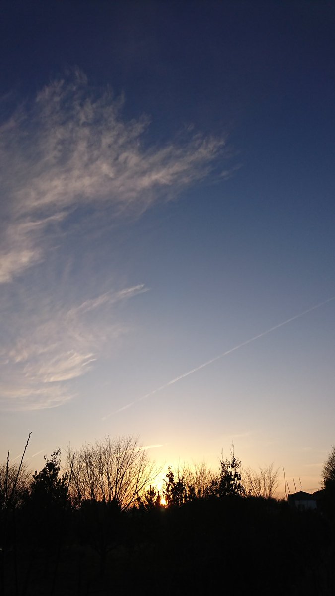 hiromimorita2's tweet image. おはようございます😊
きりっと霜降りてパリパリな朝🌄
月と金星近くで輝いてたよ🌛🌟
初々しいシクラメン朝陽浴びて✨
感謝の心に優しい笑顔で
人の和は強い心と温和な態度で☆
モーニングで休憩しながら
行ってきます☕
穏やかな優しい１日を😊❤️🍀💞
#日の出倶楽部
#お月様倶楽部 
#シクラメンの花