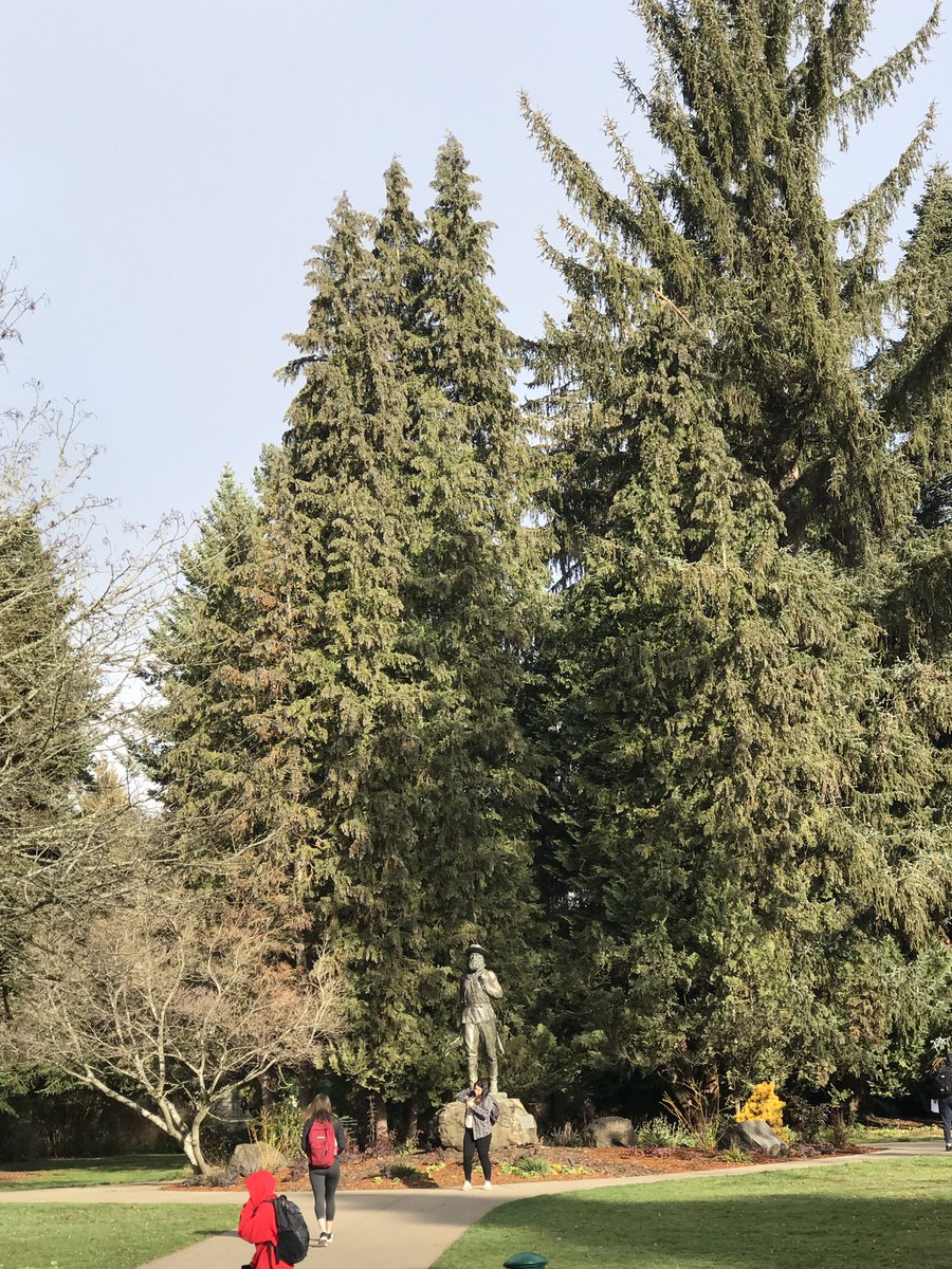 UOVP_Dr_T's tweet photo. .@UOAdmissions .@UOFinAid .@CallMeADuck Another spectacular winter day at the University of Oregon! As much of the country deals with sub zero temps, snow & ice, I’m grateful for the 50 degree days & bright sun! #Oregonwinter #UOregon https://t.co/V8BaGJ1Vah