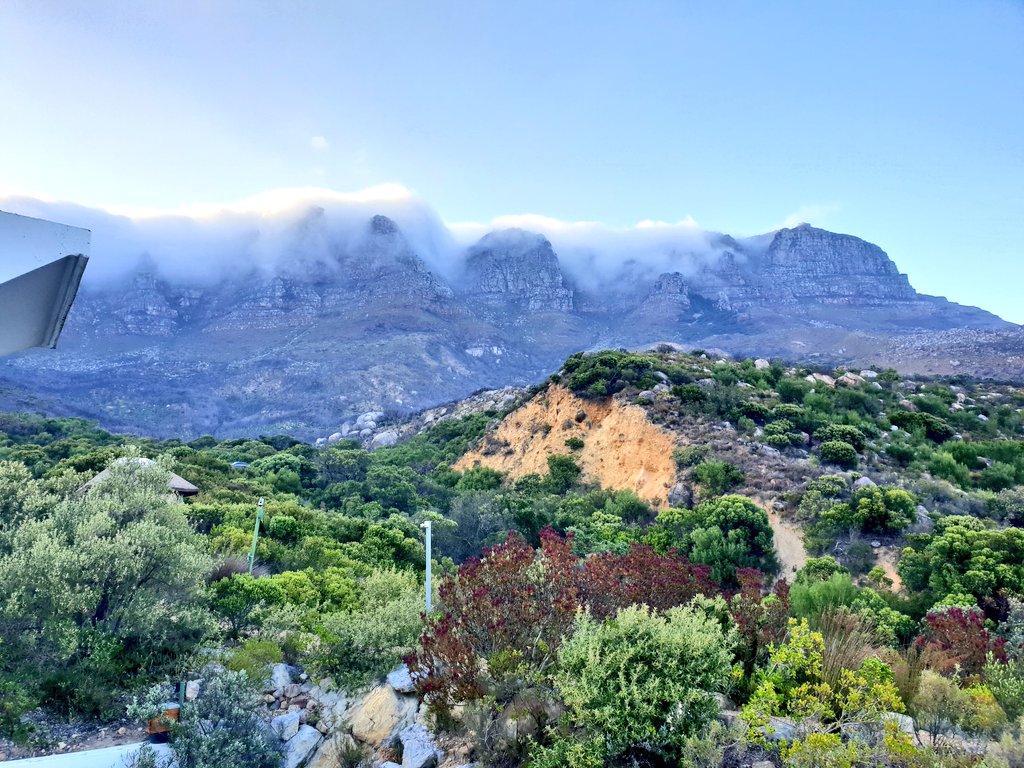 Maps Maponyane tweet media