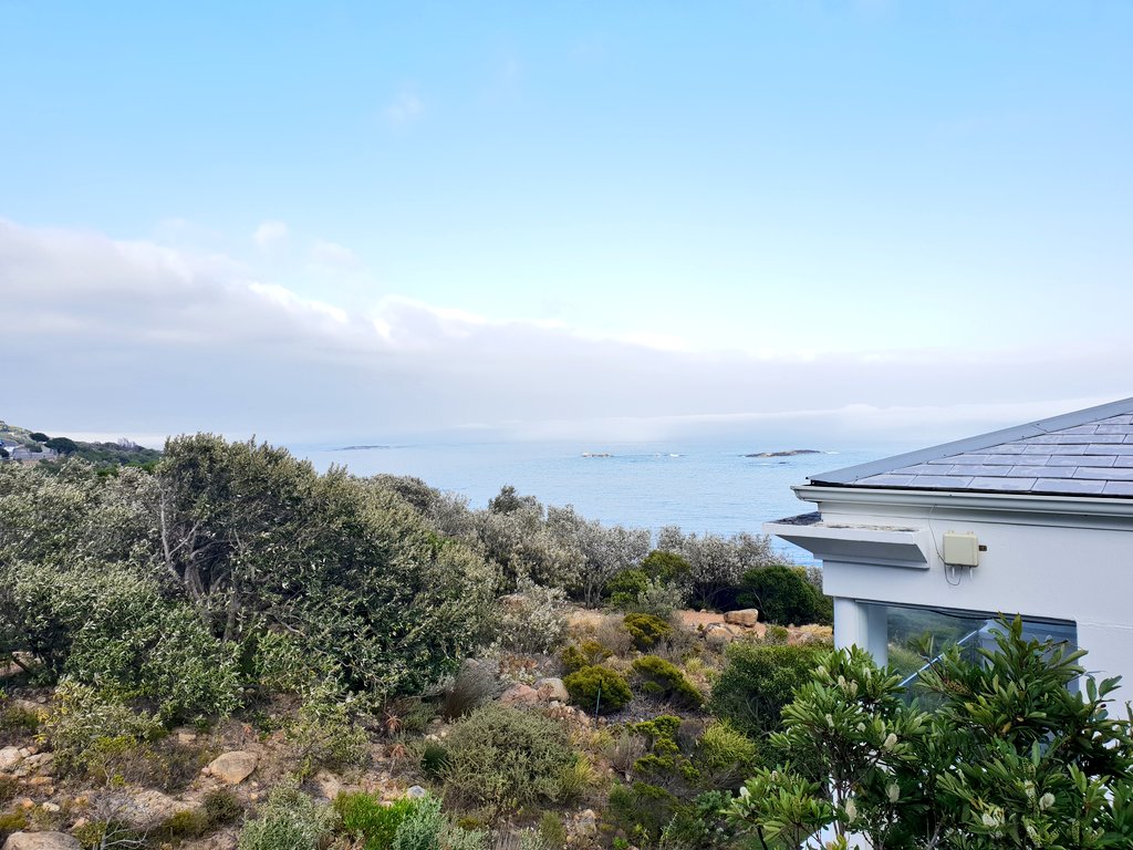 Maps Maponyane tweet media